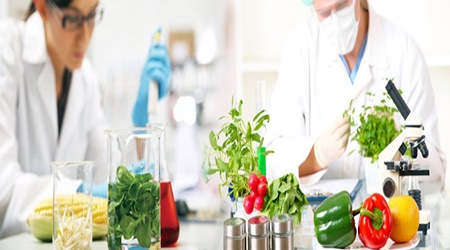 ISO 22000 Belgelendirme